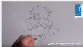 dessiner un arbre-4eme-3