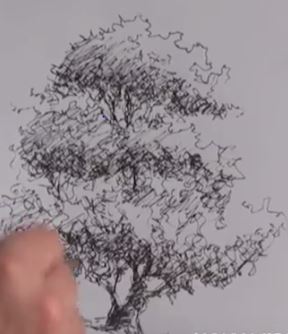 dessiner un arbre -4eme-6